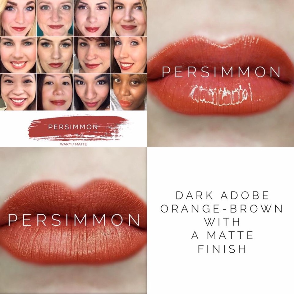 LAST 1! Persimmon LipSense - SEALED